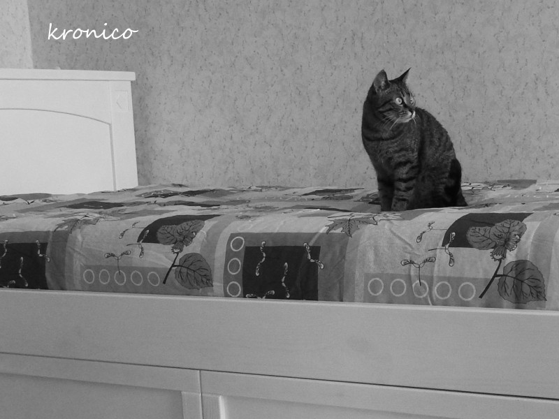 Кровать KRONICO 