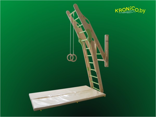 Детский спортивно - игровой комплекс 